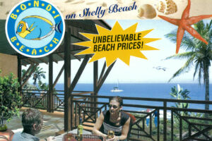 Bondi beach Flyer