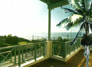 Cocomo Palms Flyer