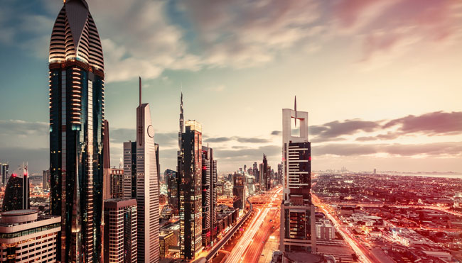 Real Estate Agency Registration – Premium